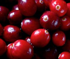 CranberryVeenbes