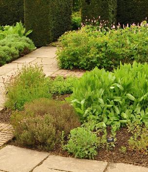 De Kruidentuin Herb Garden may 2012 - Sissinghurst